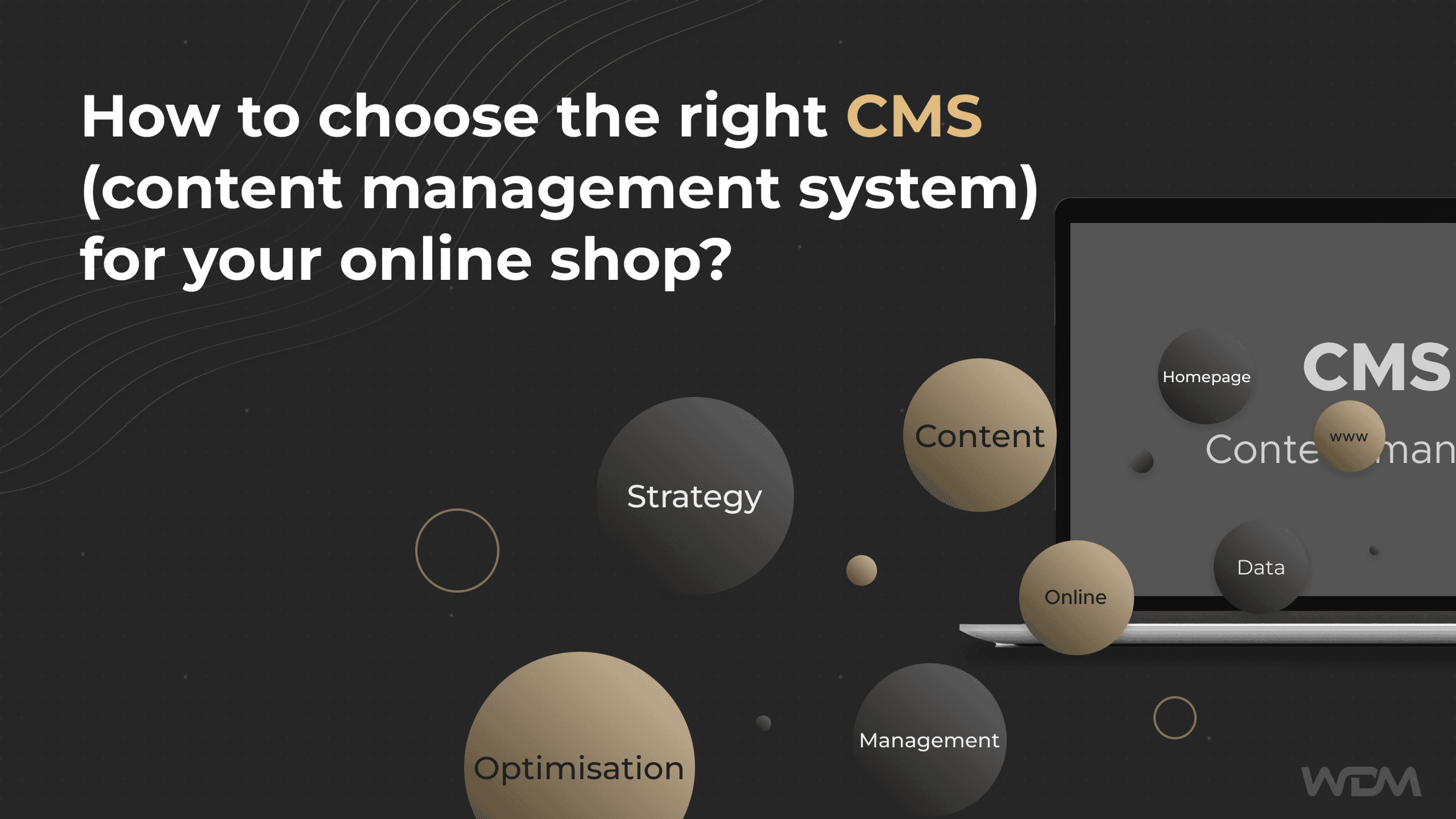 How not to shoot wrong with the choice of content management system for an online store?