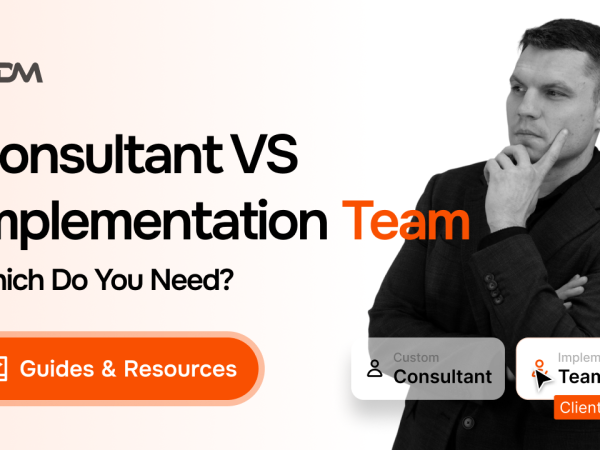 Ecommerce Consultant vs a Team That Implements: Which Do You Need?